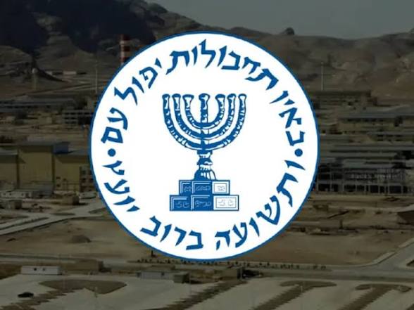 Harmless tweet media