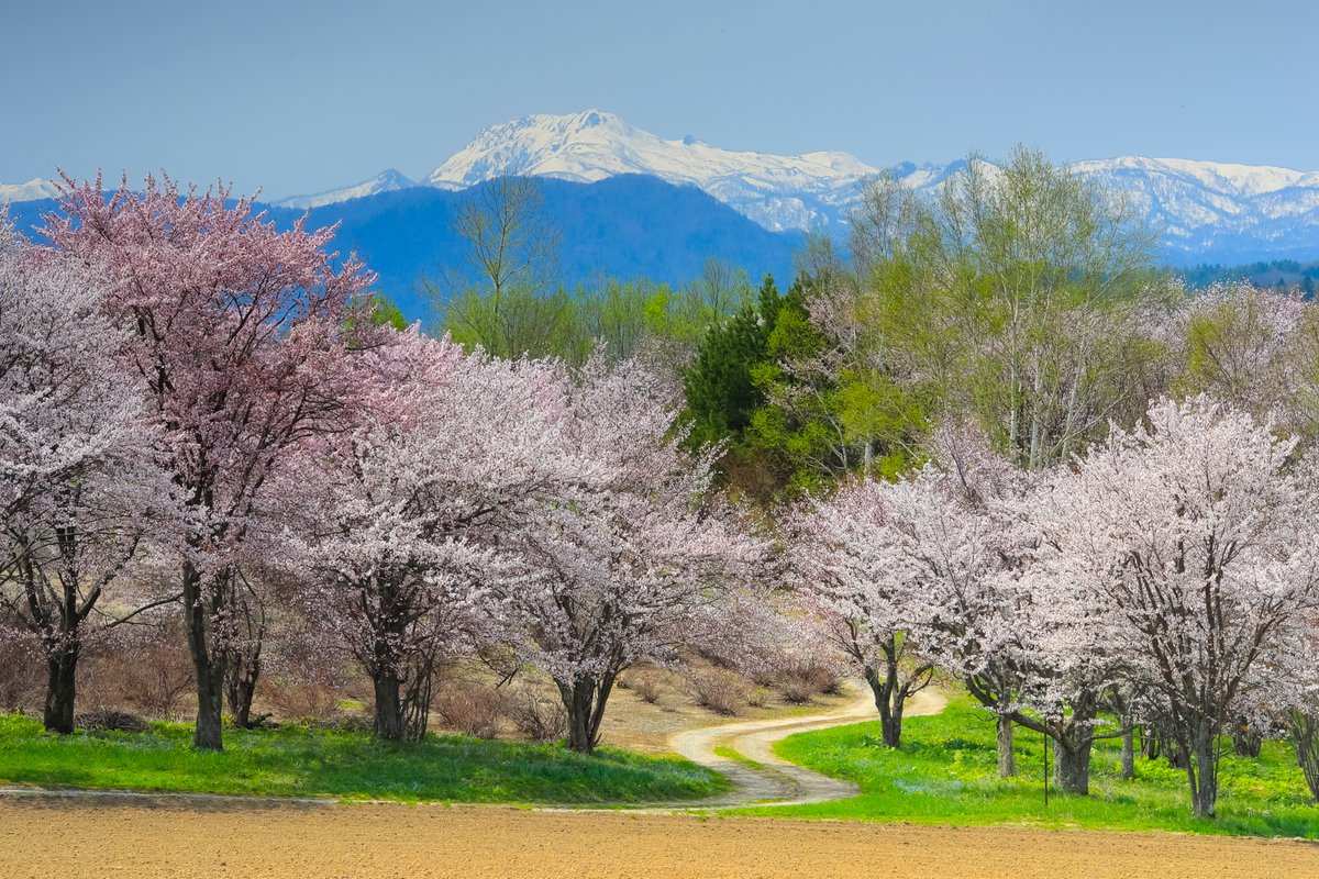 林祐介 自然写真家 / Youtube33000人 tweet media