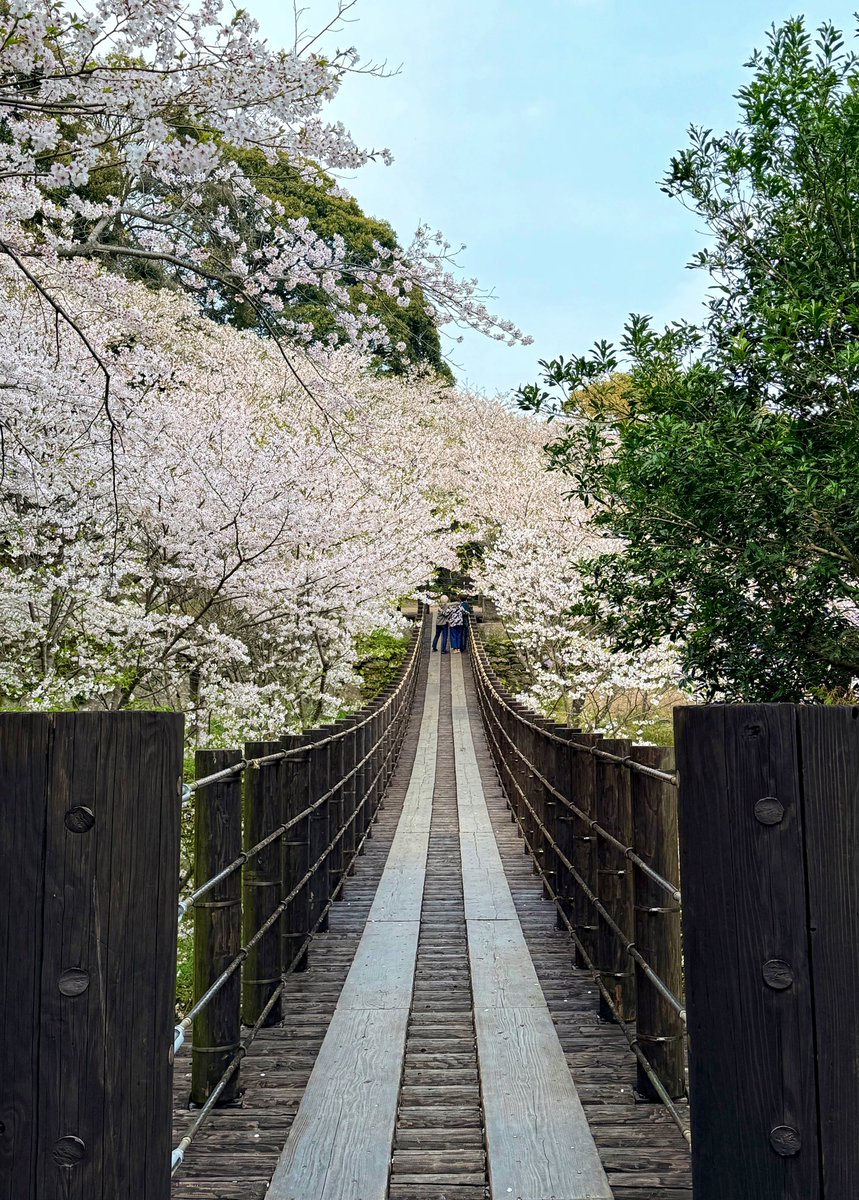 CBR600RR☆ハル tweet media