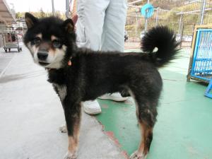 びーとも tweet media