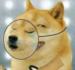 Dhana karanam 🚩🇮🇳 tweet media