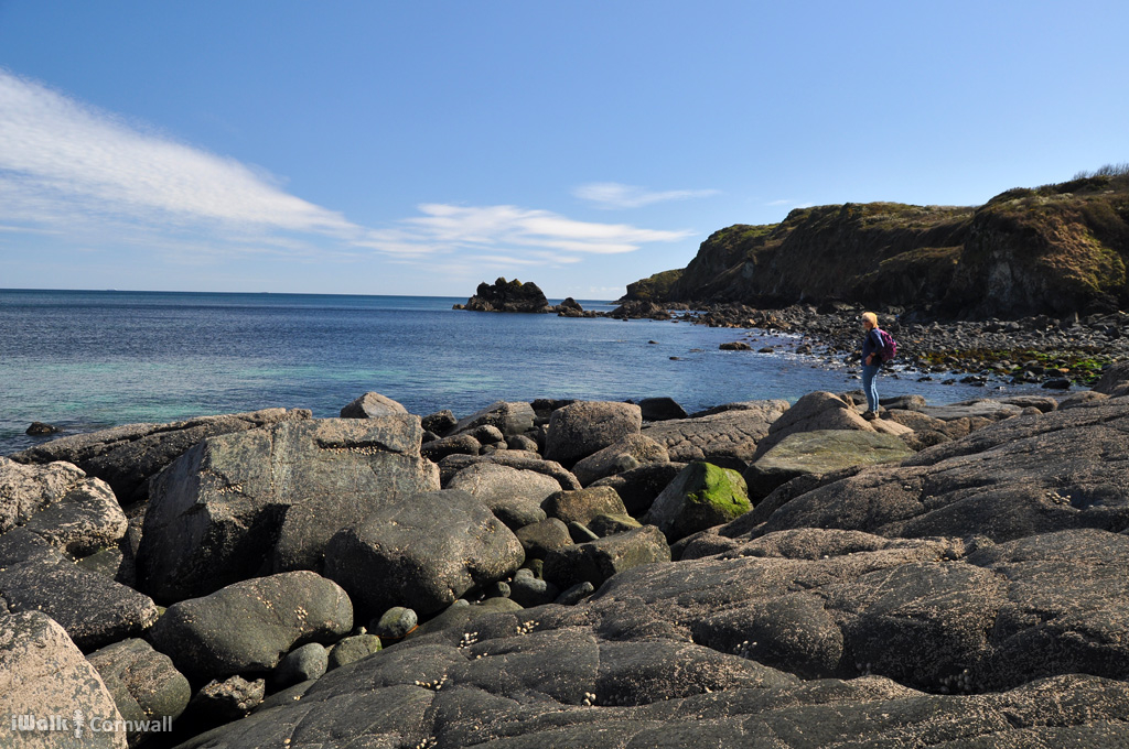 iwalkc's tweet image. Carleon Cove on the Kennack Sands to Cadgwith walk
Distance: 4.5 miles
Steepness grade: easy-moderate
Link to walk: iwalkcornwall.co.uk/w/247

#walk #Cornwall