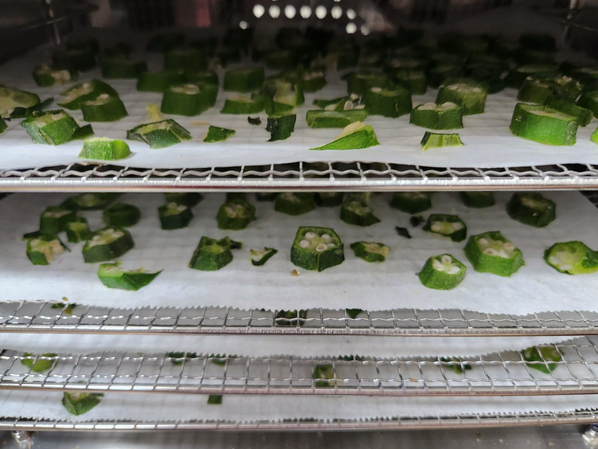 mamupuin【まゆ】 tweet media