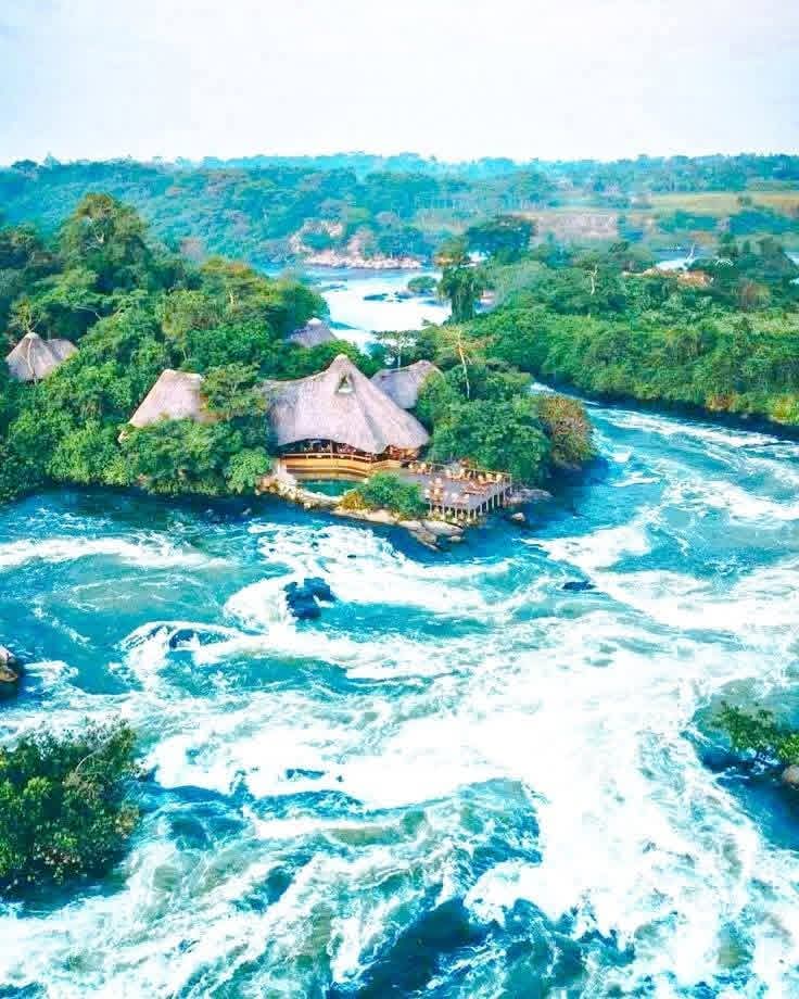 RachealMukalazi's tweet photo. Jinja home to the source of the Nile on Lake Victoria.
From the iconic Jinja Bridge with stunning river views to thrilling rapids at Itanda Falls and peaceful escapes like Samuka Island π itβs the perfect blend of adventure and beauty.
#ExploreJinja
#GoldenPosts https://t.co/UjE1Z2EnI0
