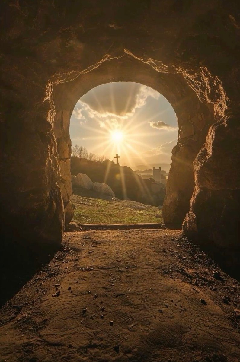 fstone1969's tweet photo. He Is Risen https://t.co/bMPrFwyLsN