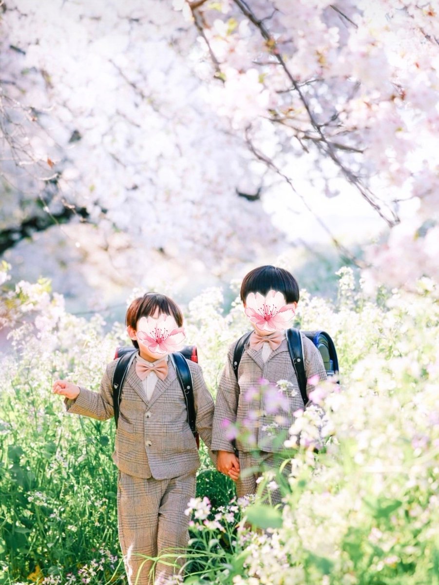 🐢とも(｡•ᴗ•｡)🐢💫🌐双子ママ tweet media