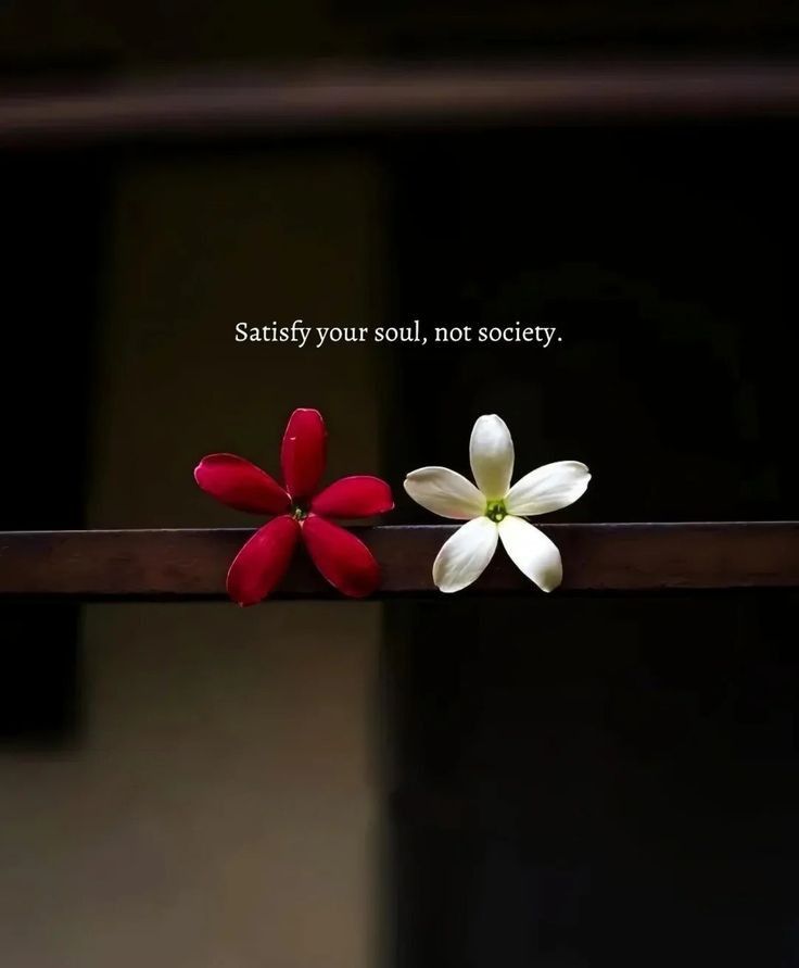 Emotions tweet media