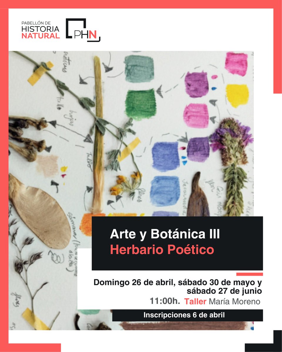 Pabellón Historia Natural de la UAL tweet media