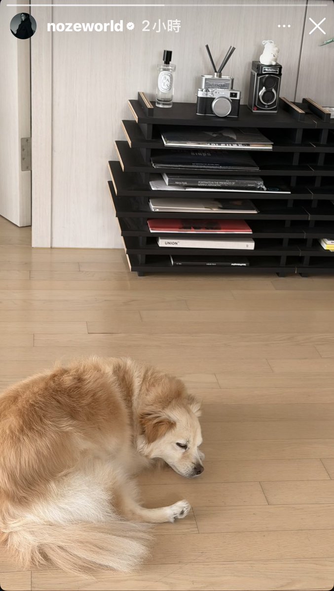 20260406
nozeworld IG Story 
#NOZE #노제 #盧智慧 #WSWF  #BUMSUP #teamkorea