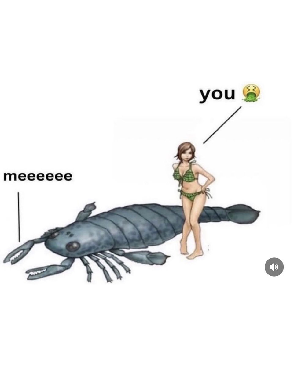 Entomemeology tweet media