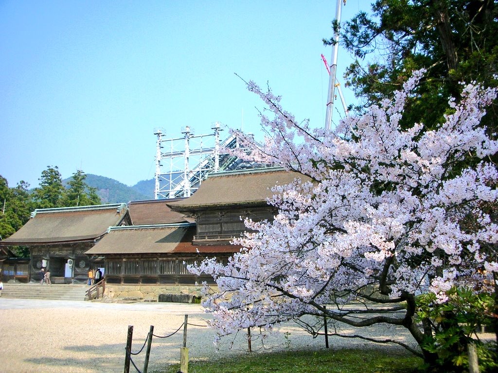 ゆんた tweet media