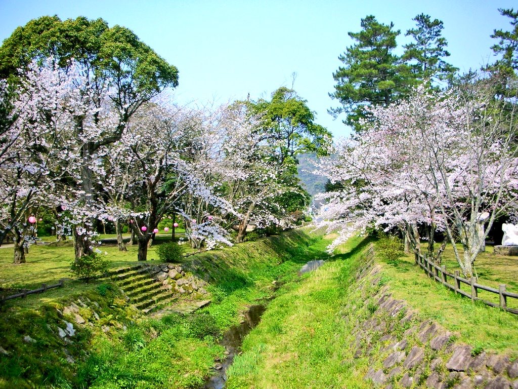 ゆんた tweet media