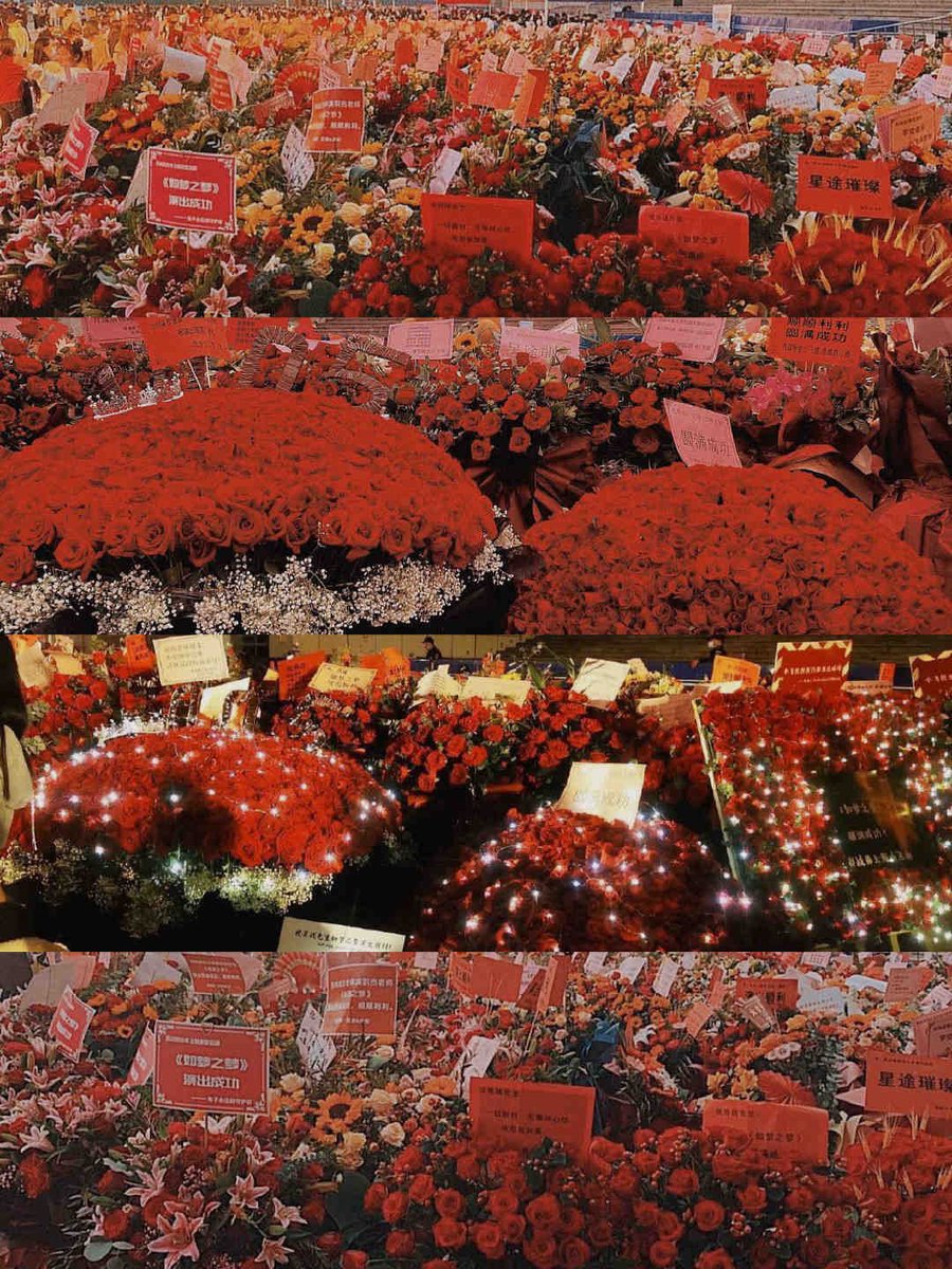 EmmY❤️1005 XZ.🌹 Star sand🏖️✨🧘🏼‍♀️ tweet media