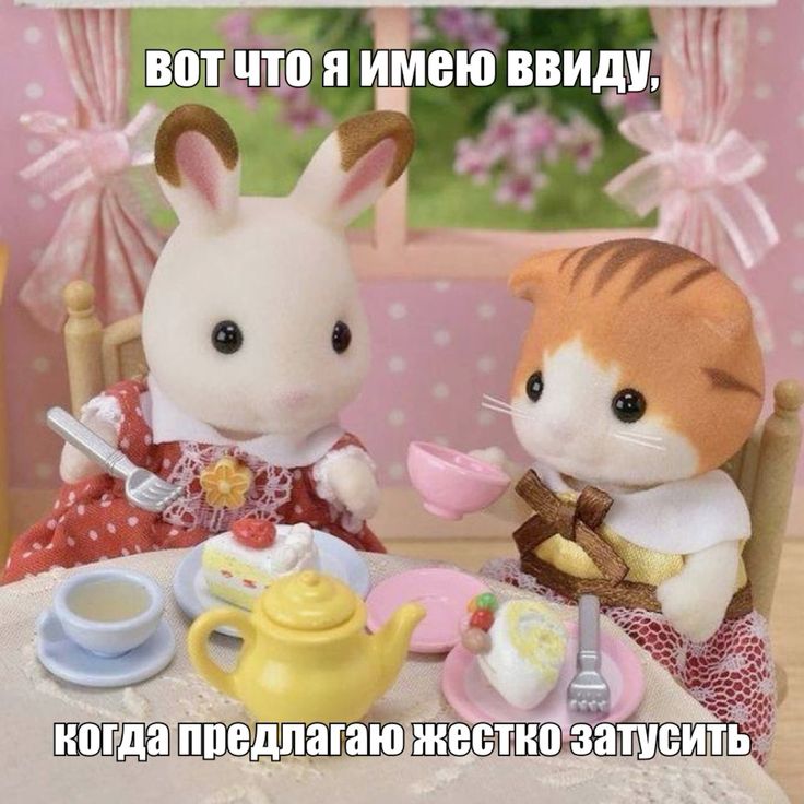 Sarawat📸 tweet media