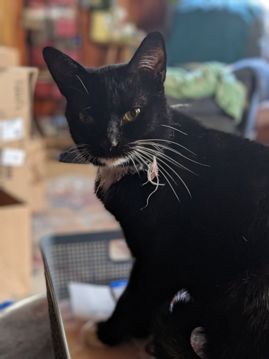 Janice Bruorton tweet media