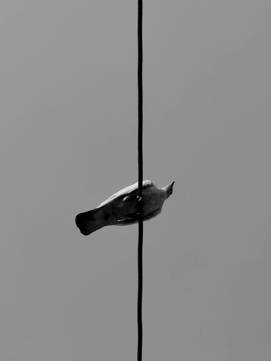 Moses Ma'aji Ghaji. tweet media