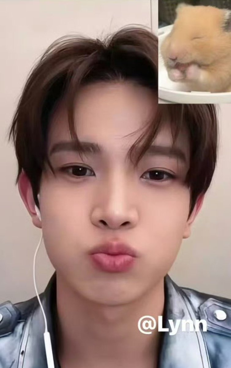 ซึงเกล ⭑🍅 tweet media