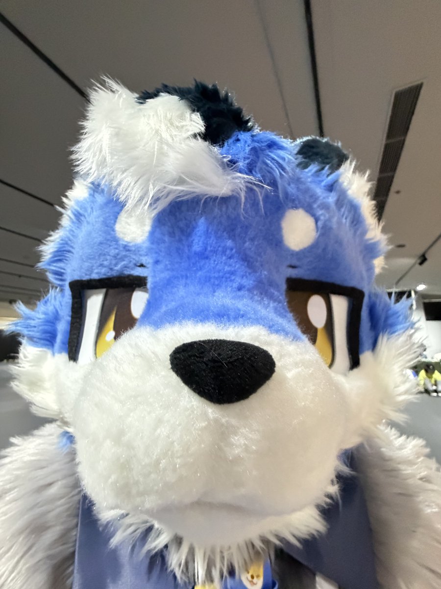 狼獣姫丸 ふ~せん🎈オ~カミ🐺 tweet media