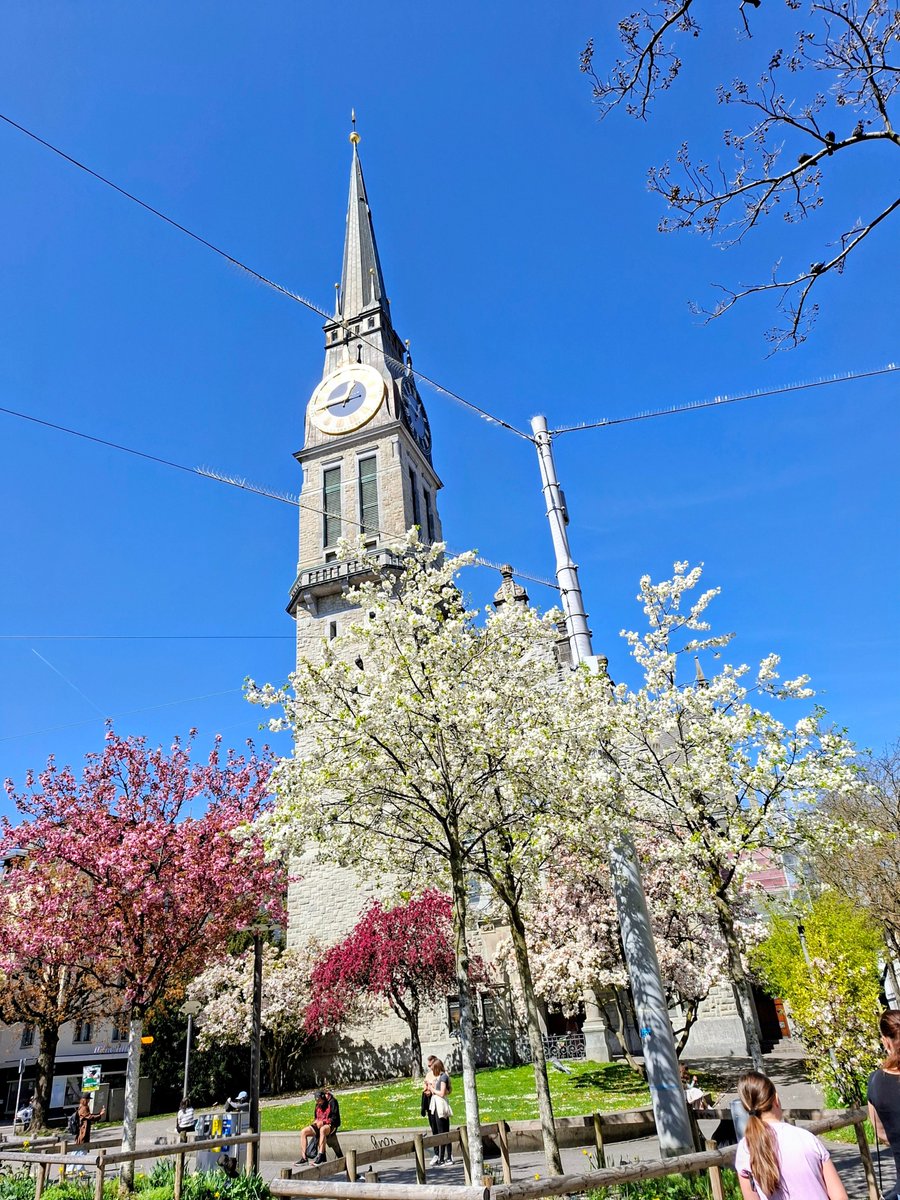 FlyingFlying62's tweet photo. En #primavera la plaza de la iglesia de Santiago en #Turicum se convierte en pura lujuria. #Frühling #Schweiz #Zürich #DesdeMiVentanaHelvética https://t.co/m1ouPC3k3U