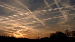 maya つづく tweet media