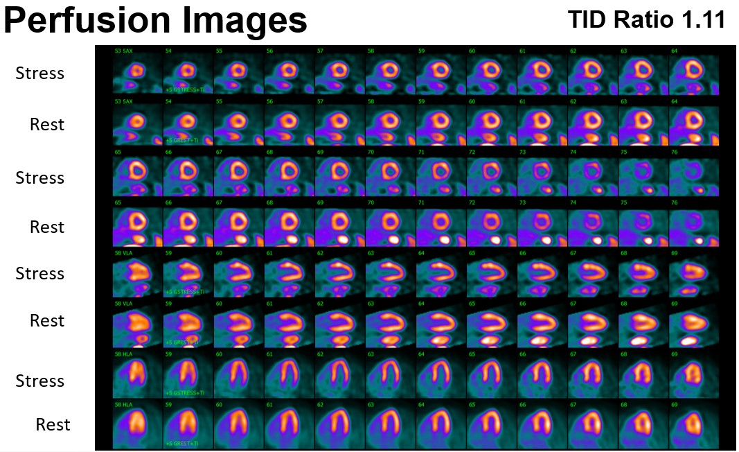 ASNC Society tweet media