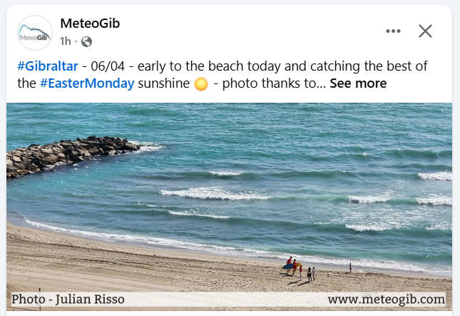 Ernest Falquero tweet media