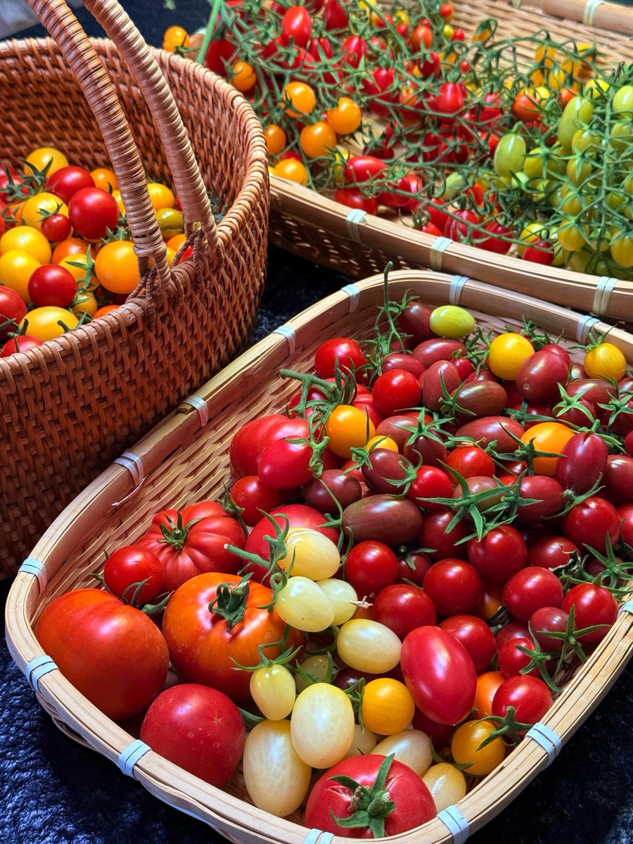 Simon Vincent tweet media