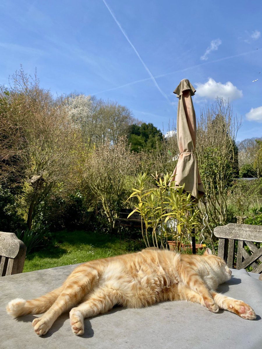 Giuseppe, Rudi & Hannes † tweet media