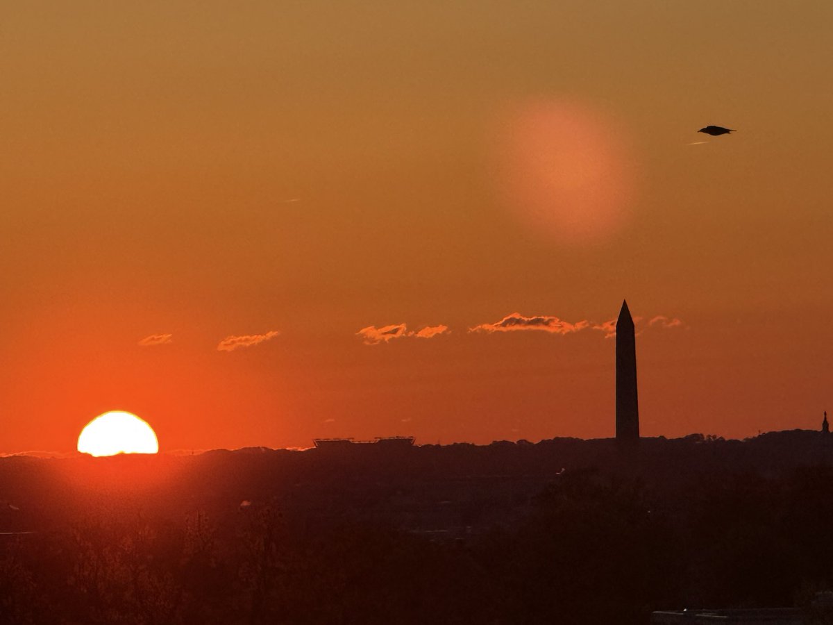 maclease's tweet photo. Happy Easter Monday Washington! https://t.co/DUdPRxqQQO