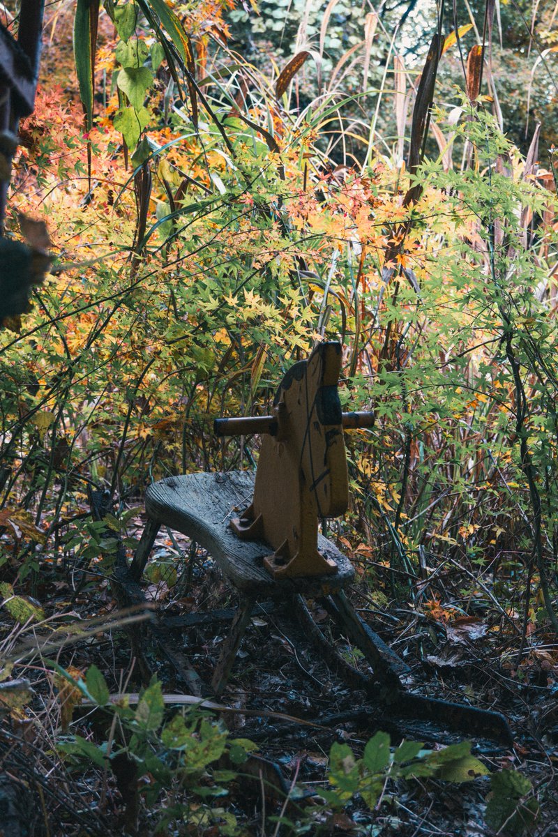 𓃰 𝕣𝕒𝕟 𓃰 フィルムで廃墟 tweet media