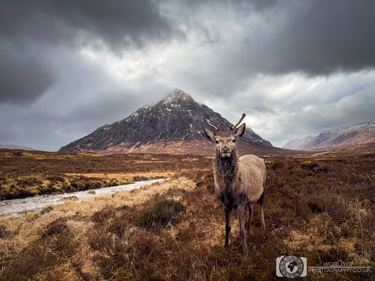 World Of Photography tweet media