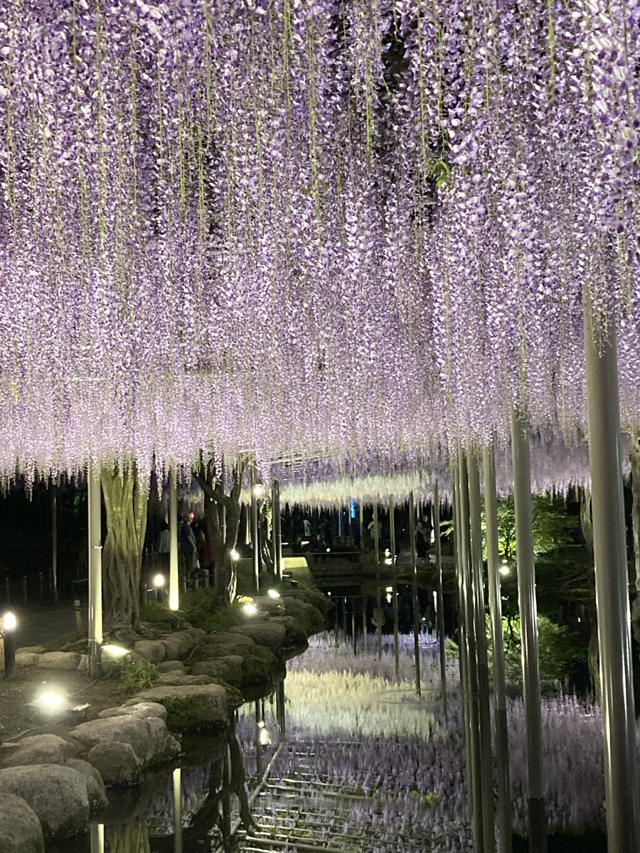 ヒポー tweet media