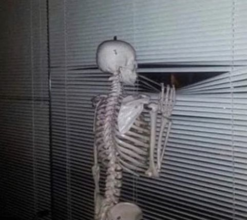 화디𓇼 tweet media