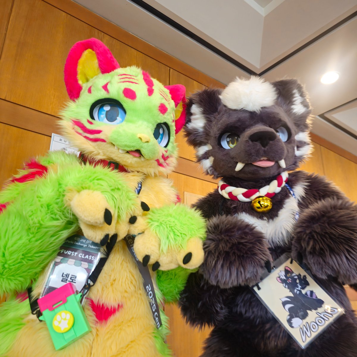 Nello 넬로 🔜 수코 양일 tweet media