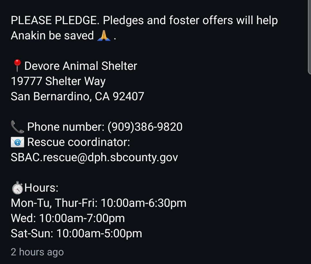 Foster a shelterpet at ZERO COST🐾 tweet media