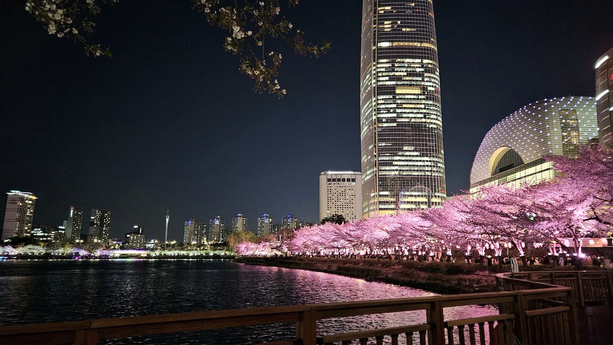 후히이 tweet media