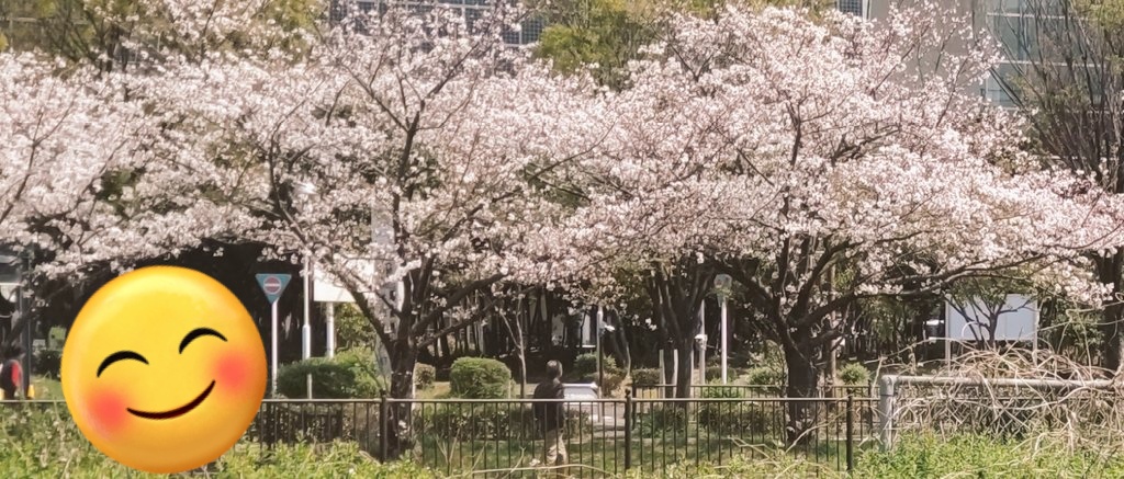 絵と夢 tweet media