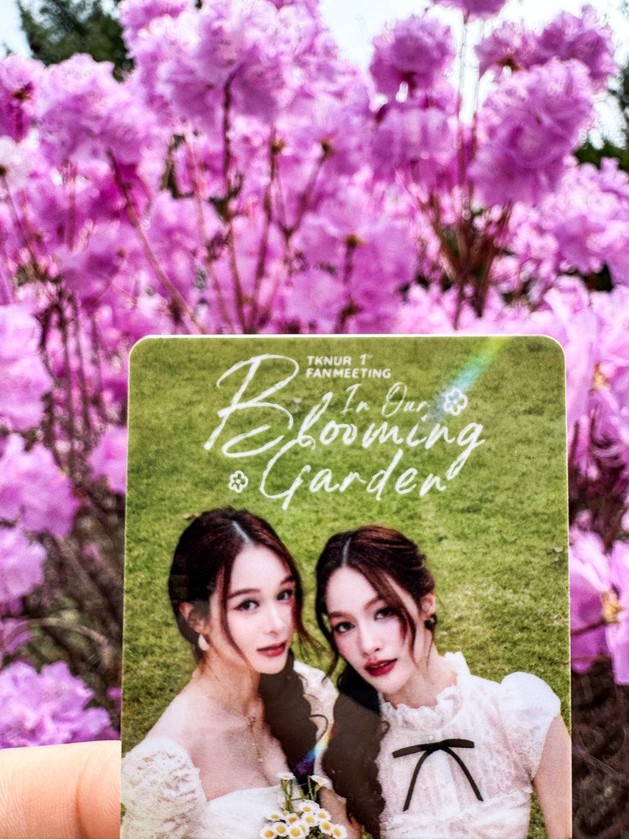 between(tn)📸 tweet media