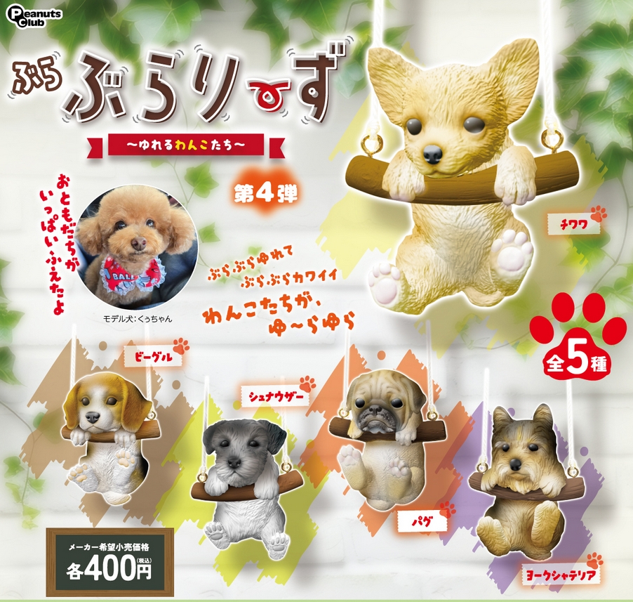 がちゃぽんぽん tweet media