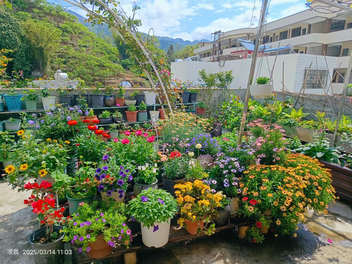 Vincent Chou tweet media