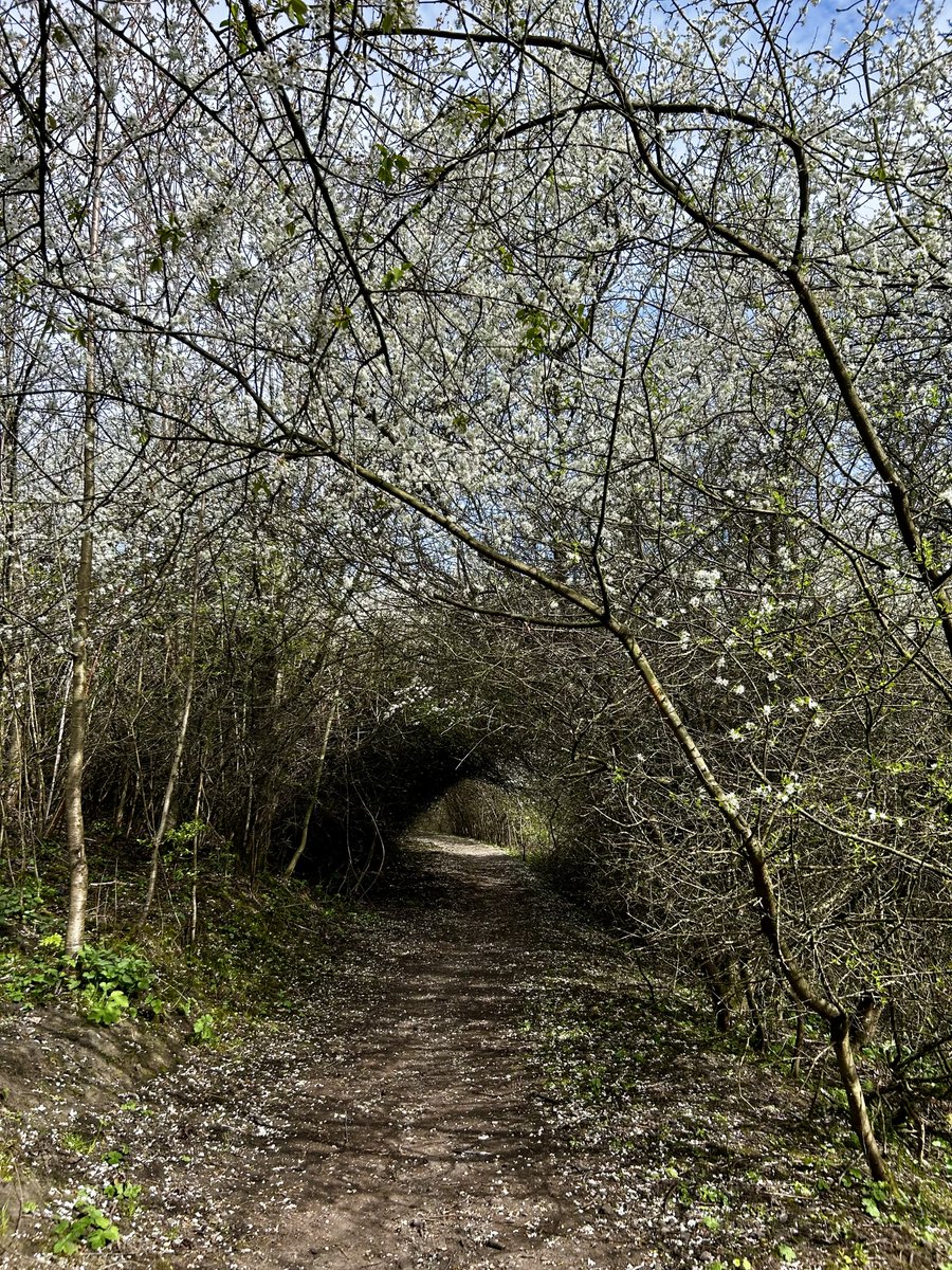 Denise Bennett💙 🇪🇺🇺🇦 tweet media