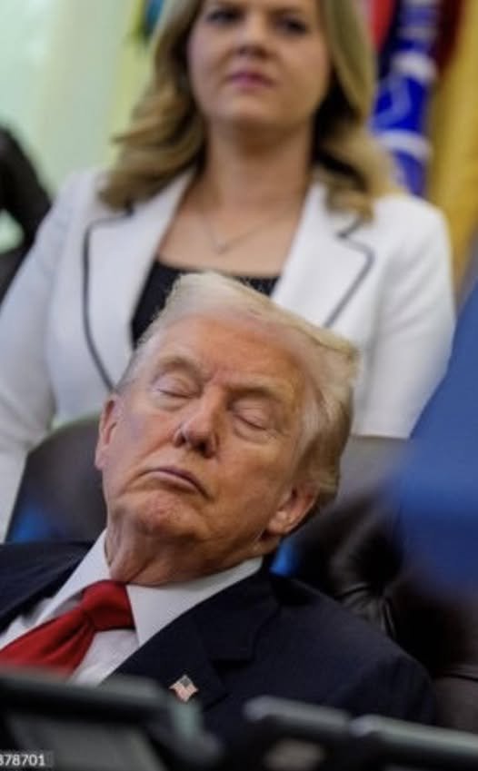 NonnasBack tweet media