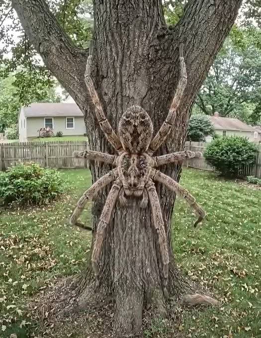 𝔽ℝ𝔼𝔻𝕆'ℤ ✨ TaKE CoNtRoL✨ tweet media