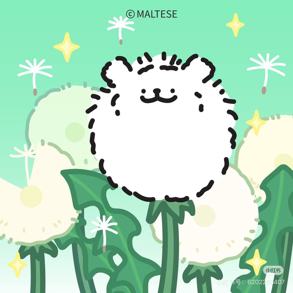 cto_cn's tweet photo. @moonlab_studio Spring~希望您喜欢，中国人超爱MALTESE https://t.co/fJjV9jjJug
