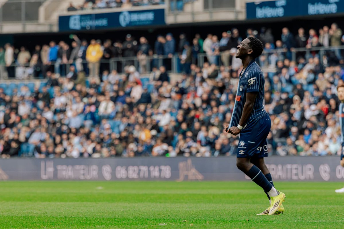 Doyens, Le Média tweet media