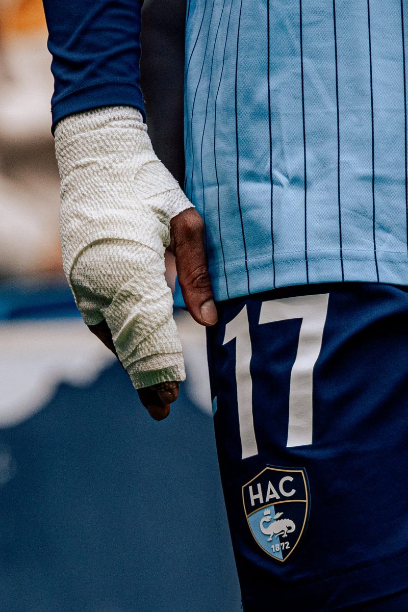 Doyens, Le Média tweet media