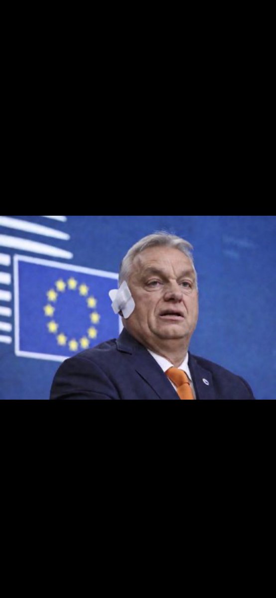 Wolfgang Simonitsch tweet media