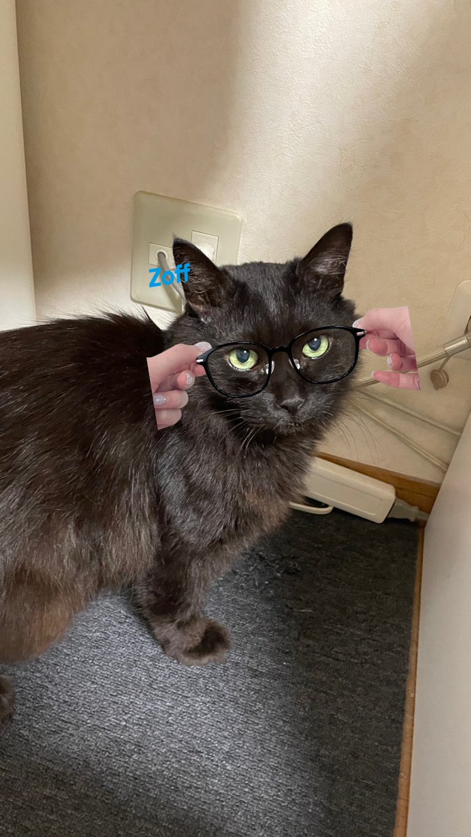 うん、なんかまぁいい感じかも