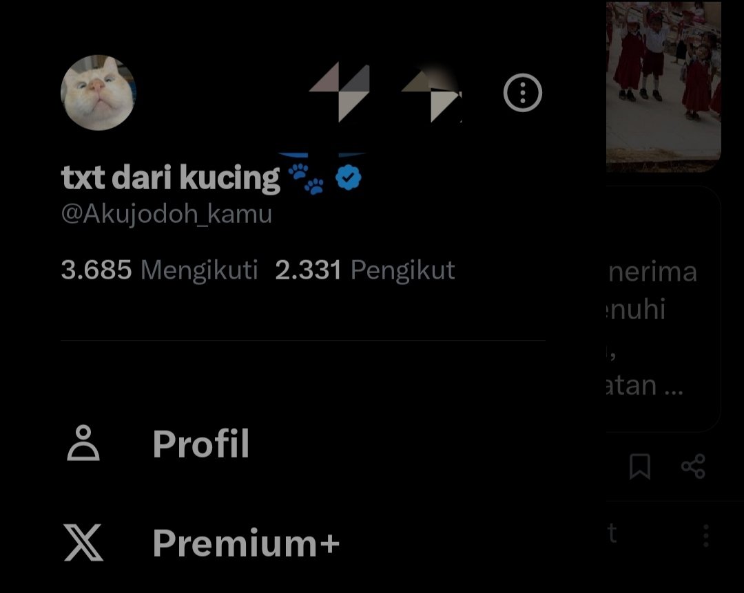 txt dari kucing 🐾 tweet media