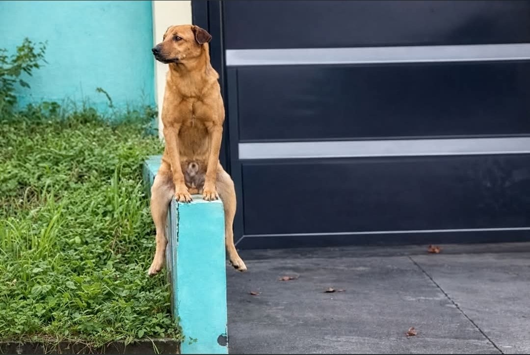 Fabuloso 🇧🇷 tweet media